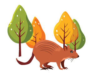 Striped Forest Animal Near Autumn Trees