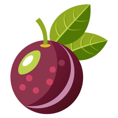 Modern Myrciaria Cauliflora Graphic in a Flat Style