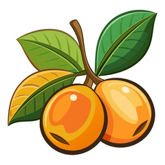 Simple Japanese Plum or Loquat Fruit Illustration
