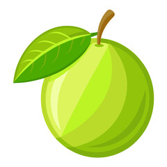 Minimalist Diospyros Blancoi Icon for Tropical Fruit Concepts