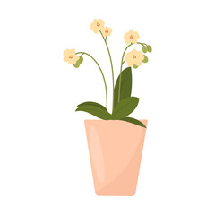 Orchid plant in pot. Indoor potted plants. House Plants for interior home decoration. Vector illustration, flat style.