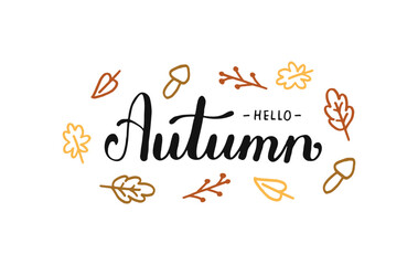 Hello Autumn lettering in foliage wreath. Maple leaves, acorns and rowan berries. Fall season. Handwritten phrase. Hand-drawn Calligraphy Lettering. Script text created by hand