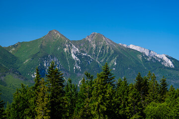 Summer panorama of the Belianske Tatras, Slovakia.