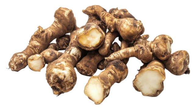 Sunchoke roots with rough skin and organic irregular shape commonly used in cooking and herbal remedies isolated on white background