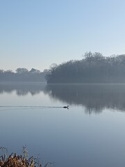Fototapeta premium fog on the lake