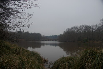morning on the river