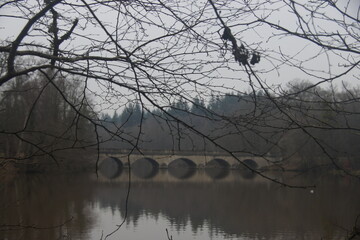 Bridge over the lake