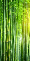 Dense Bamboo Grove on Green Background