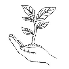 Hand holding line drawing of growing plant. Hand drawn outline illustration protecting young plant