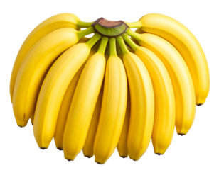 Bunch of Fresh Yellow Bananas with Natural Curvature, Top View, isolated on transparent background