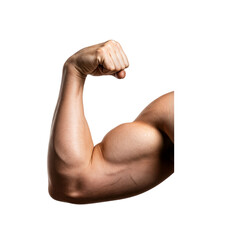 A muscular male arm flexing bicep against a transparent background. The skin tone is light, showcasing defined muscles and veins.