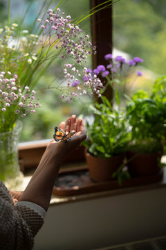 Hand of woman with butterfly at home