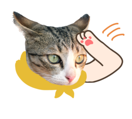 Adorable Tabby Cat Wearing Yellow Scarf Cartoon Arm Patting Head