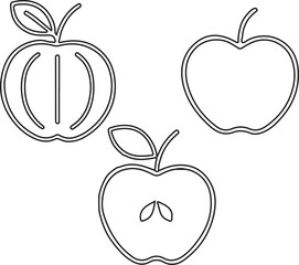 Apple Illustration Whole, Half, and Quarter Views