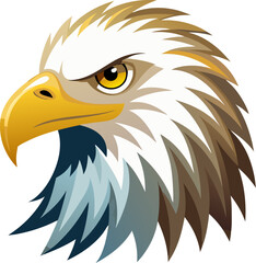 american bald eagle