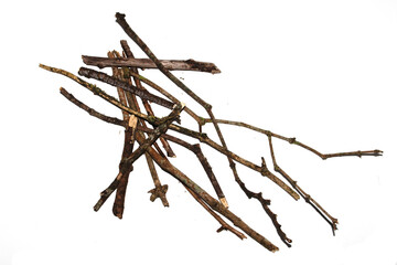 Small natural fallen tree twigs sticks and branches on a white background