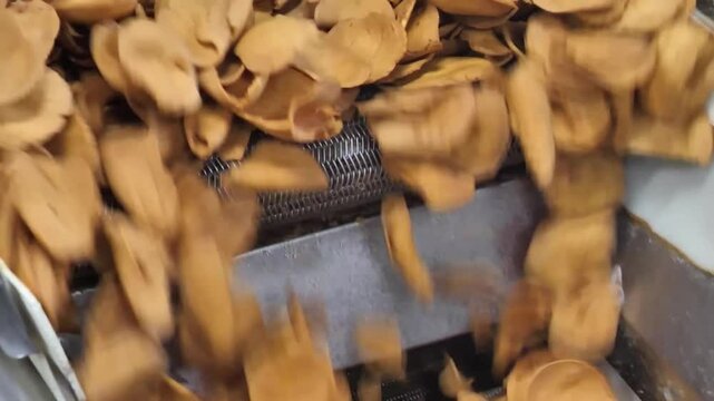 Golden crispy crackers flow continuously on a mesh conveyor, cooling after baking as they head toward packaging in an industrial food processing facility.