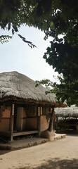 hut in the forest