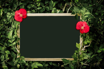 chalkboard on spring summer green leaves background.