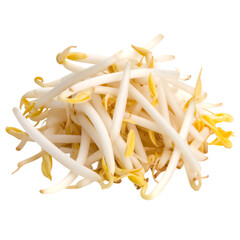 Pile of Fresh Mung Bean Sprouts isolated on white or transparent png