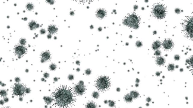 3D Animation of virus cells floating on white background. - Powered by Adobe