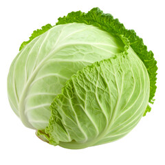 Fototapeta premium Fresh Whole Green Cabbage isolated on white or transparent png
