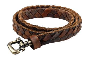 Braided leather dog leash with clasp isolated on white background
