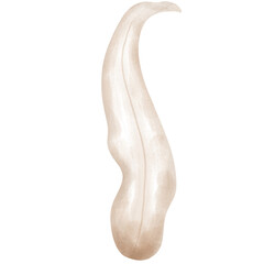 Watercolor  cozy Atumn pumpkin,watercolor  fall Atumn 