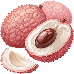 Lychee Fruit Vector Peeled and Whole with Seed