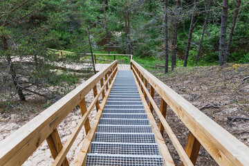 Wooden stair boardwalk descending through coastal pine forest dunes