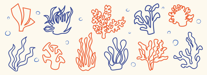 Set of Seaweeds and coral reef underwater plant vector collection. Aquarium, ocean and marine algae water plants, corals isolated on white. Seaweeds polyps silhouettes. Branches, twigs and flowers.