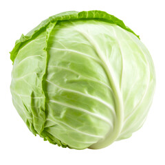 Fototapeta premium Fresh Whole Green Cabbage isolated on white or transparent png