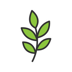 Vector illustration of a leaf isolated on white background