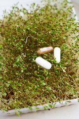 Sprouts growing in a container with dietary supplements among the greenery in a bright kitchen setting