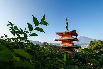 Obraz premium Leaves from a tree in front of the Chureito Pagoda overlooking Mount Fuji on a sunny and clear morning in Fujiyoshida, Japan.