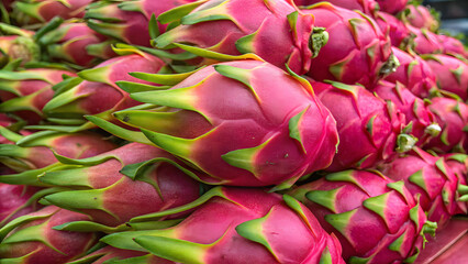 Fresh dragon fruits with vivid pink skins and green scales