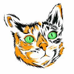 vector illustration of an abstract cat