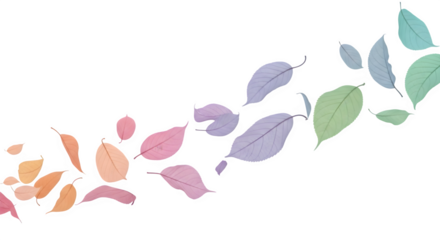 Colorful falling autumn leaves isolated on white background