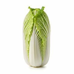 Fresh, whole Napa cabbage, vibrant green leaves, crisp white core, isolated on white background.