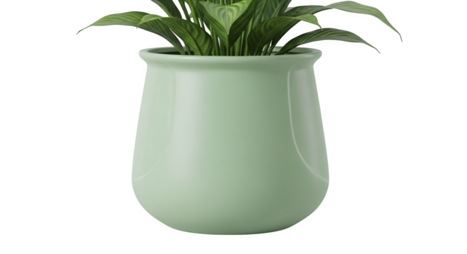 Potted plant in green vase 3d rendered isolated on white background - Powered by Adobe