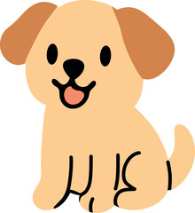 Golden Retriever Puppy