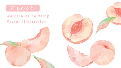 水彩で描いた桃のベクターイラスト