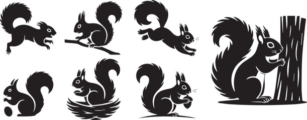 Fototapeta premium Silhouette set of squirrel black vector illustration collection