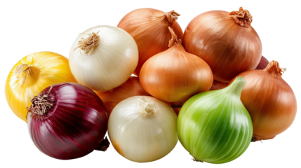 A Colorful Collection of Onions: A vibrant assortment of fresh onions, each showcasing its unique hue and shape, sit together. Captured at a high angle with soft natural lighting