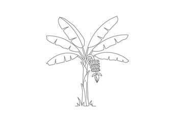 Banana tree drawing. It is a vector sketch line art drawing of a banana tree, featuring large leaves and a bunch of bananas, representing tropical fruit and nature. Vector sketch line art draw.