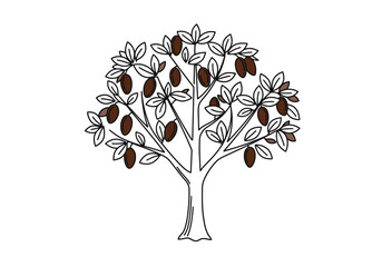 Chocolate tree drawing. It is a vector sketch line art drawing of a cacao tree with pods and leaves. Vector sketch line art draw.