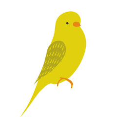 yellow bird