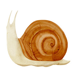 Cute watercolor illustration of a happy snail