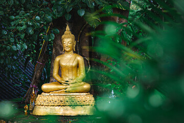 Serene golden Buddha statue seated in meditation under the leafy canopy of a Bodhi tree,...