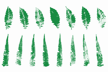 Natural leaves imprint, grunge style, vector, isolated, decorative elements for design	
